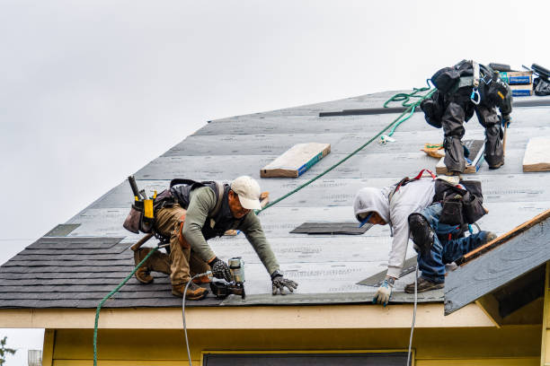 Professional Roof Repair technician working in Hiram, ME